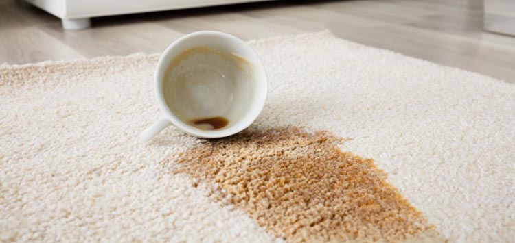 DIY Carpet Cleaning Tricks for Coffee Stains