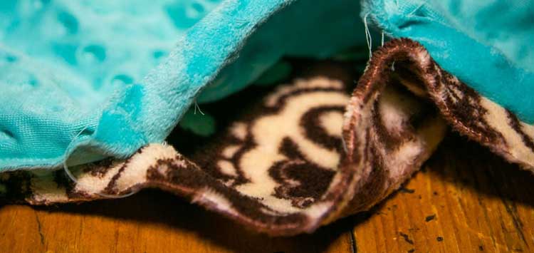 DIY Reversible Blanket